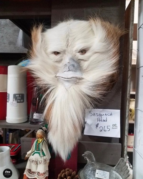 Explanation Needed (37 pics)