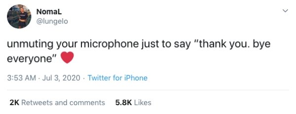 Zoom Calls Situations (19 pics)