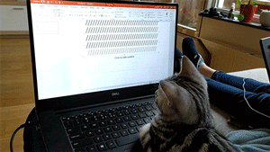Funny Pets (14 gifs)