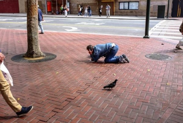 Explanation Needed (37 pics)