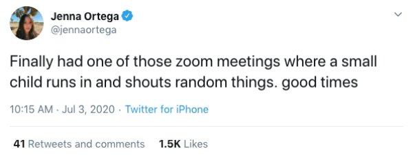 Zoom Calls Situations (19 pics)