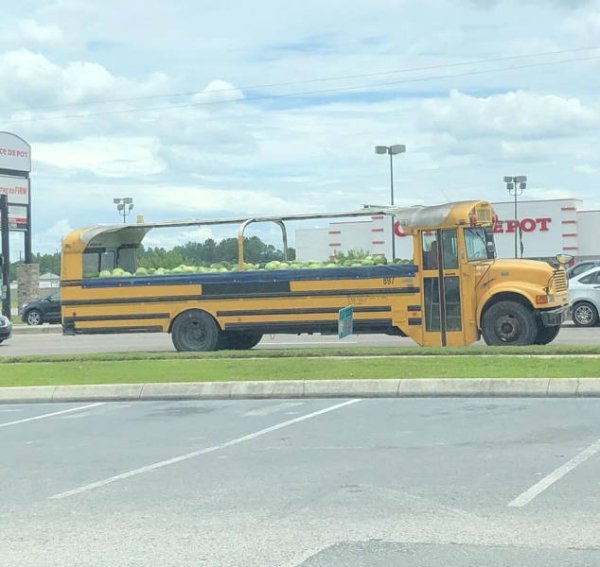 Explanation Needed (37 pics)