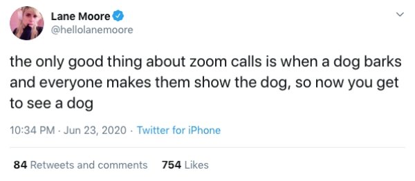 Zoom Calls Situations (19 pics)