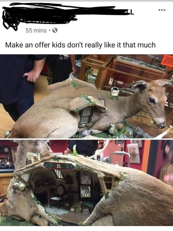 Explanation Needed (37 pics)