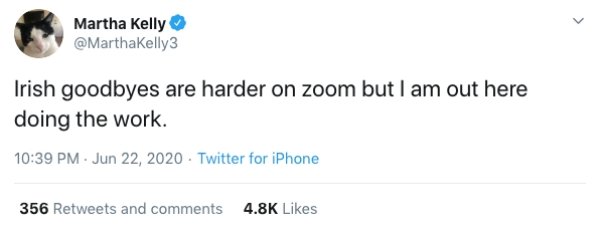 Zoom Calls Situations (19 pics)