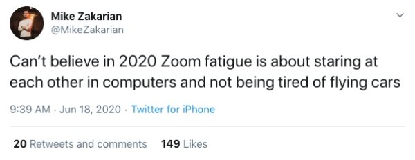 Zoom Calls Situations (19 pics)