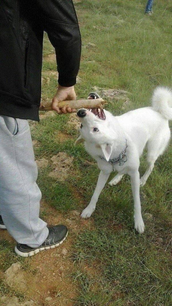 Explanation Needed (37 pics)