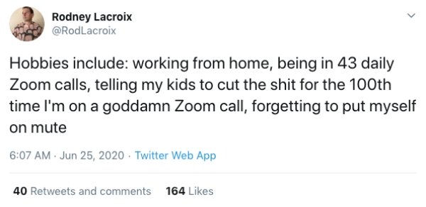Zoom Calls Situations (19 pics)