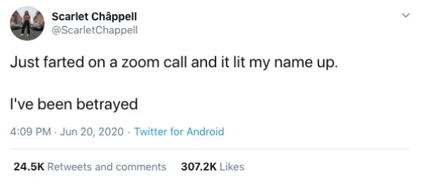 Zoom Calls Situations (19 pics)