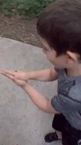 Funny Pets (14 gifs)