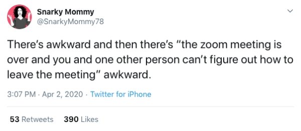 Zoom Calls Situations (19 pics)