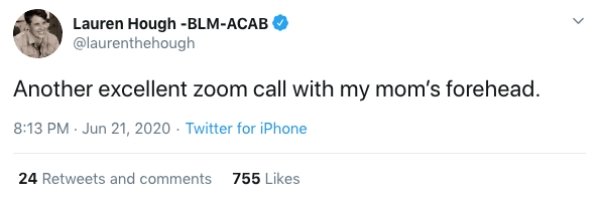Zoom Calls Situations (19 pics)