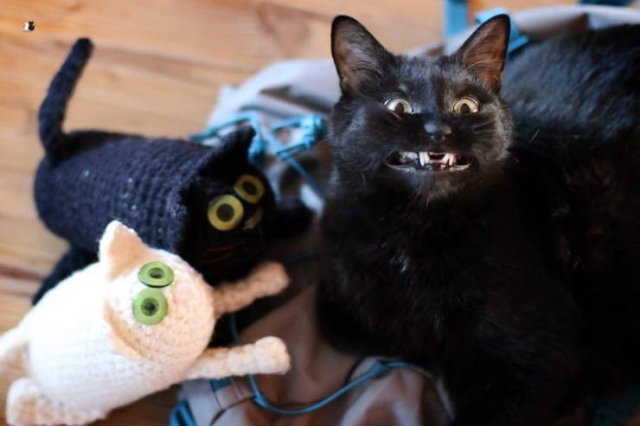 Acid Picdump. Part 1 (95 pics)