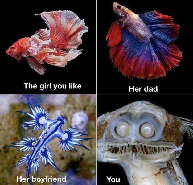 Acid Picdump. Part 2 (93 pics)