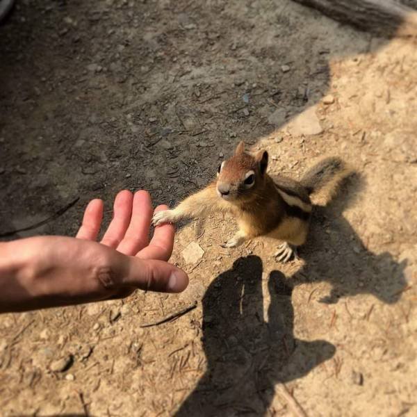 Acid Picdump. Part 1 (95 pics)