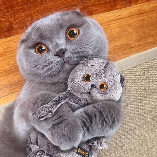 Acid Picdump. Part 2 (93 pics)