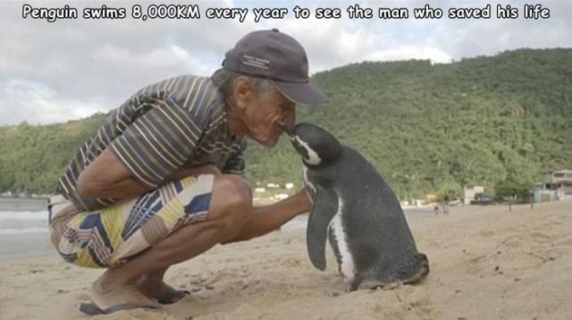 Acid Picdump. Part 1 (95 pics)
