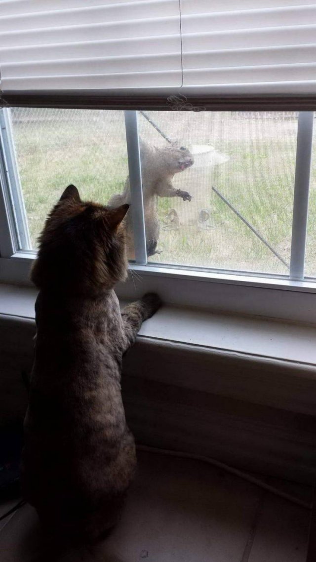 Acid Picdump. Part 1 (95 pics)