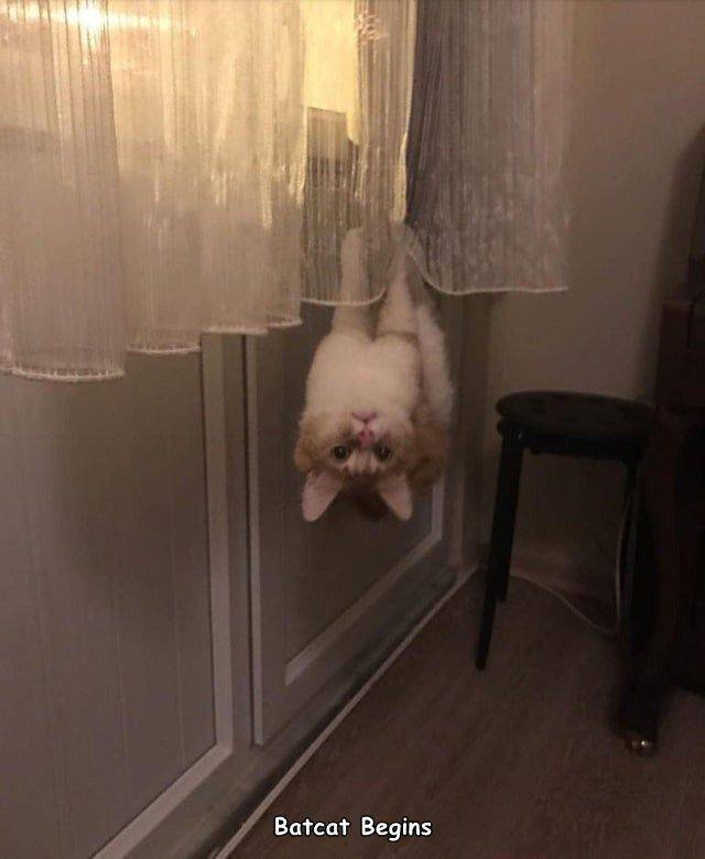 Acid Picdump. Part 2 (93 pics)