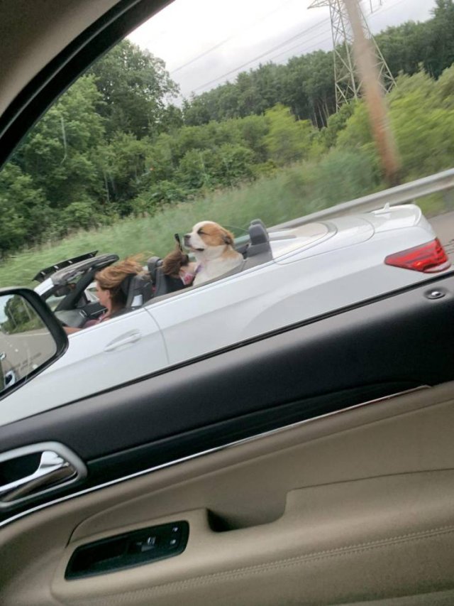 Acid Picdump. Part 2 (93 pics)