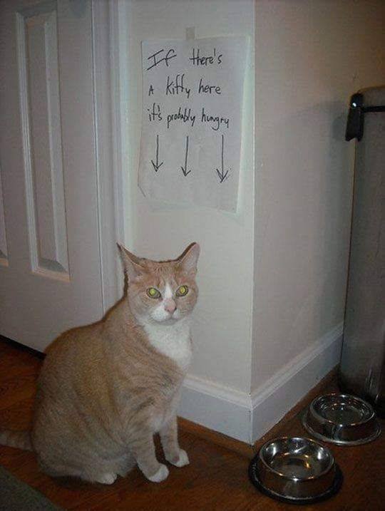 Acid Picdump. Part 2 (93 pics)