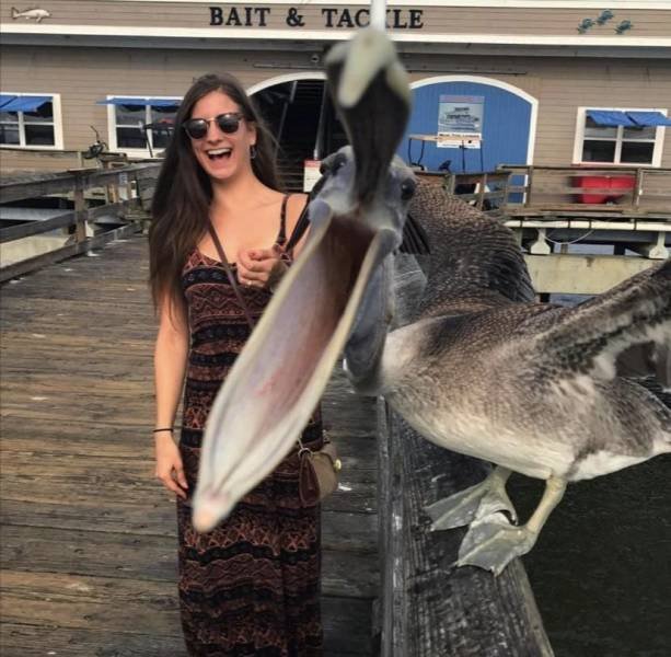 Acid Picdump. Part 2 (93 pics)