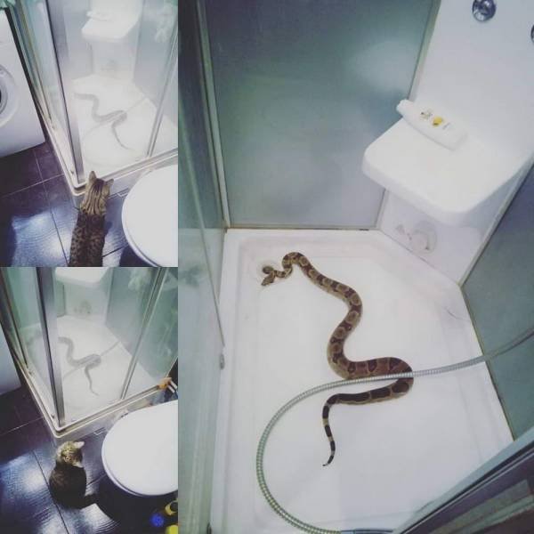 Acid Picdump. Part 1 (95 pics)