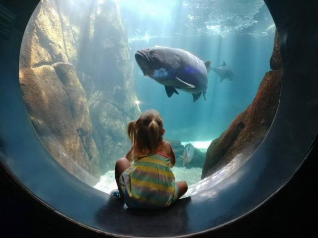Acid Picdump. Part 1 (95 pics)