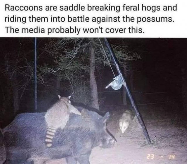 Acid Picdump. Part 2 (93 pics)