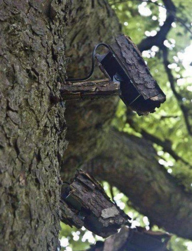 Acid Picdump. Part 1 (95 pics)