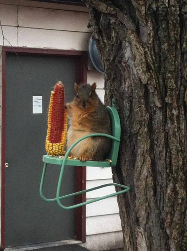 Acid Picdump. Part 2 (93 pics)