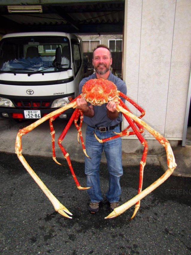 Acid Picdump. Part 1 (95 pics)