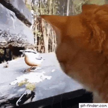 Acid Gifdump, July 8 (25 gifs)