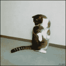 Acid Gifdump, July 8 (25 gifs)