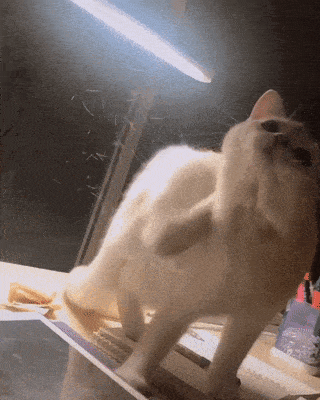 Acid Gifdump, July 8 (25 gifs)
