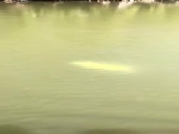 Great Fishing Catch
