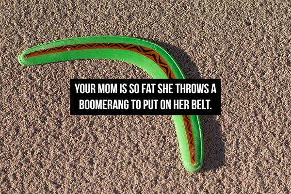 Mama Jokes (19 pics)