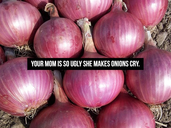 Mama Jokes (19 pics)