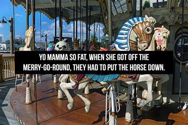 Mama Jokes (19 pics)