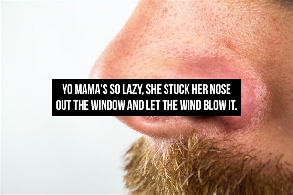Mama Jokes (19 pics)