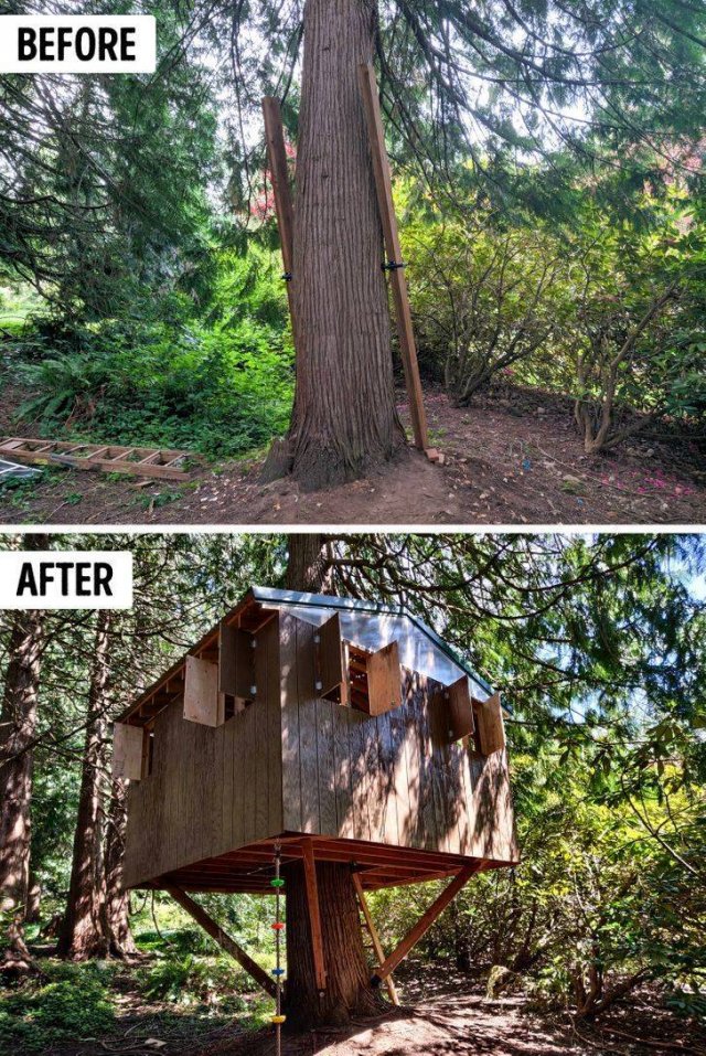 Amazing Yard Transformations (20 pics) Amazing Yard Transformations (20 pics)