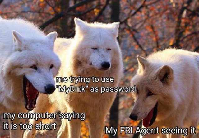 Acid Picdump. Part 2 (90 pics)