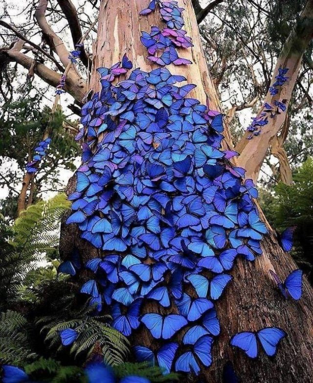 Acid Picdump. Part 2 (90 pics)