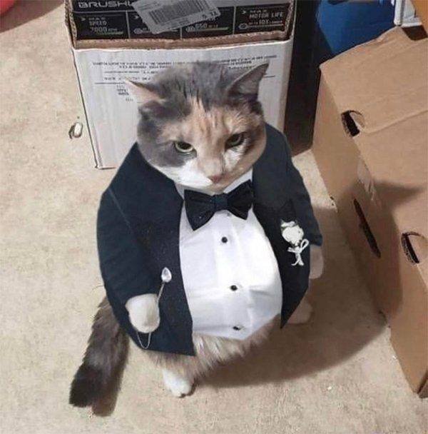 Acid Picdump. Part 2 (90 pics)