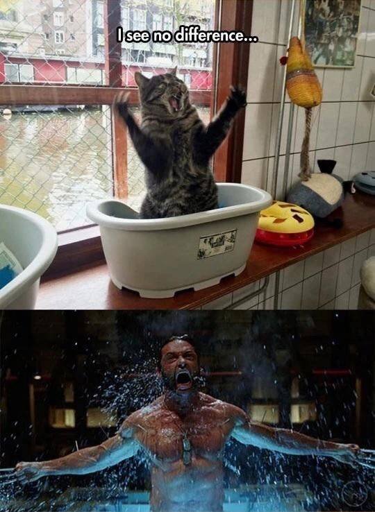 Acid Picdump. Part 2 (90 pics)