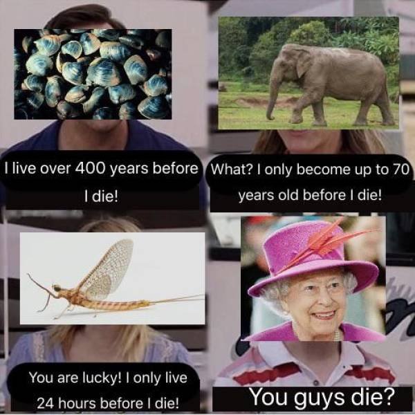 Acid Picdump. Part 2 (90 pics)