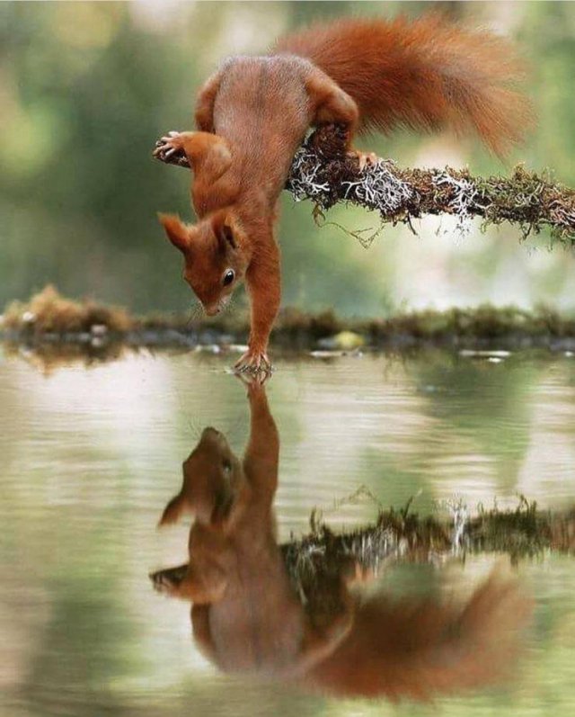 Acid Picdump. Part 2 (90 pics)