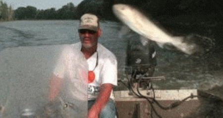 Acid Gifdump, July 9 (25 gifs)