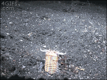 Acid Gifdump, July 9 (25 gifs)