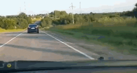 Acid Gifdump, July 9 (25 gifs)